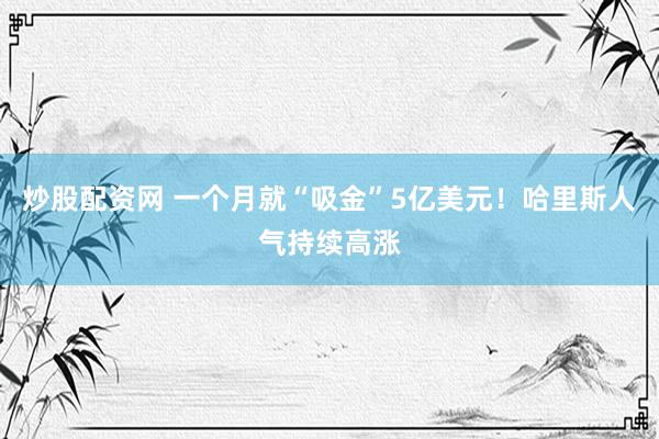 炒股配资网 一个月就“吸金”5亿美元！哈里斯人气持续高涨