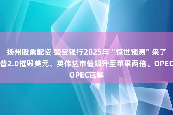 扬州股票配资 盛宝银行2025年“惊世预测”来了！川普2.0摧毁美元、英伟达市值飙升至苹果两倍、OPEC瓦解