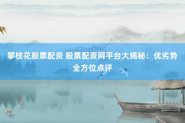 攀枝花股票配资 股票配资网平台大揭秘：优劣势全方位点评